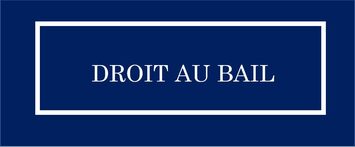 Vente - Antiquaire - Rhône (69)-photo-2