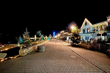 Location Local Commercial - Finistère (29)-photo-2