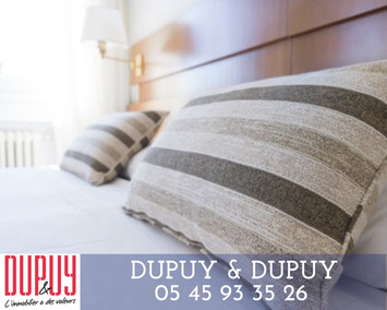 Vente - Hôtel - Restaurant - Jonzac (17500)