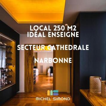 Location Local Commercial - Aude (11)-photo-2