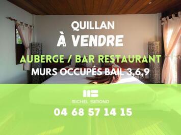 Location Local Commercial - Aude (11)-photo-1
