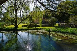 Vente - Hôtel - Gîte - Chocolaterie Chocolatier - Vienne (86)