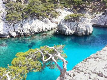 Vente - Hôtel - Restaurant - Café - Bouches-du-Rhône (13)