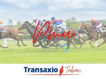 Vente - Bar - Restaurant - Tabac - Licence IV - Loto - PMU - Epinal (88000)-photo-3