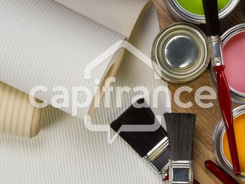 Vente - Vitrerie - Platrerie - Peinture - Louerre (49700)-photo-3