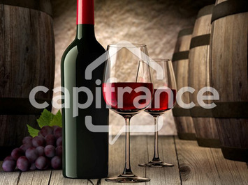 Vente - Alimentation - Cave à vins - Epicerie - Vins et spiritueux - Rouen (76100)-photo-4