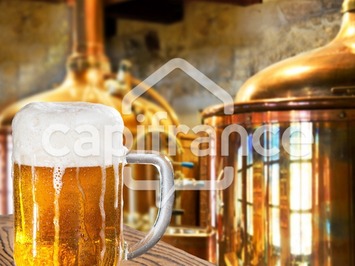 Vente - Restaurant - Licence IV - Lille (59000)-photo-3