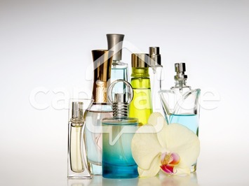 Vente - Parfumerie - Challans (85300)