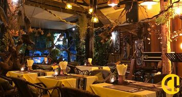 Vente - Restaurant - Licence IV - Saint-Quentin-Fallavier (38070)