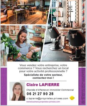 Vente - Cadeaux souvenirs - Ille-et-Vilaine (35)-photo-4