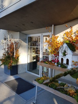 Vente - Alimentation - Bio - Epicerie - Bogève (74250)-photo-3