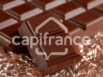 Vente - Chocolaterie Chocolatier - Barbezieux-Saint-Hilaire (16300)