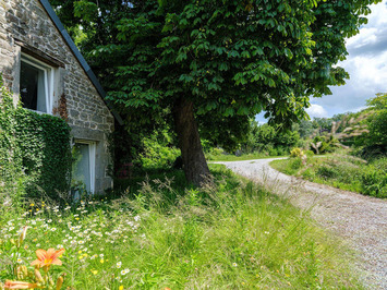Vente - Chocolaterie Chocolatier - Saint-Vaury (23320)-photo-2