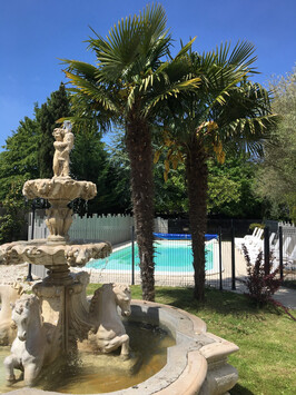 Vente - Gîte - Chocolaterie Chocolatier - Charente-Maritime (17)-photo-2