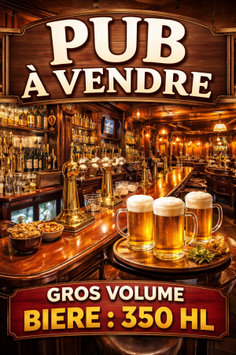 Vente - Bar - Brasserie - Bar à thème - Manche (50)