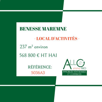 Vente de murs de boutique - Bénesse-Maremne (40230)-photo-3