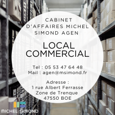 Location Local Commercial - Lot-et-Garonne (47)-photo-4
