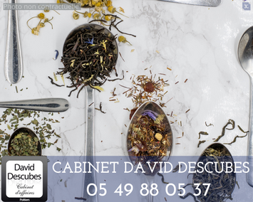 Vente - Salon de thé - Poitiers (86000)