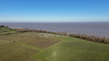 Vente - Cave à vins - Vins et spiritueux - Saint-Yzans-de-Médoc (33340)