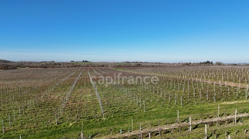 Vente - Cave à vins - Vins et spiritueux - Saint-Yzans-de-Médoc (33340)-photo-2