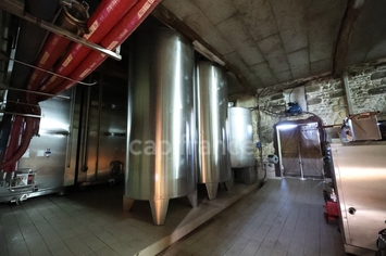 Vente - Cave à vins - Vins et spiritueux - Saint-Yzans-de-Médoc (33340)-photo-3