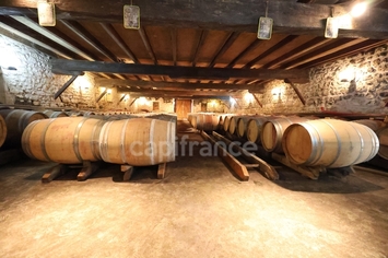 Vente - Cave à vins - Vins et spiritueux - Saint-Yzans-de-Médoc (33340)-photo-4