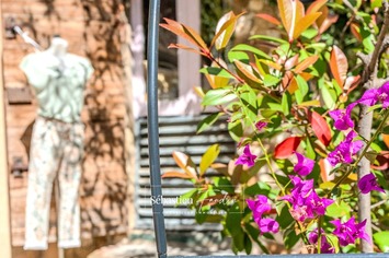 Vente - Habillement - Le Castellet (83330)-photo-4