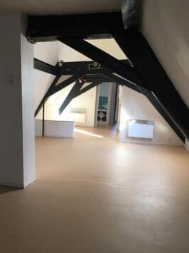 Location Local Commercial - Bas-Rhin (67)-photo-3