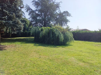 Vente Terrain ZI / ZA - Pau (64000)-photo-2