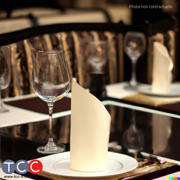 Vente - Restaurant - Toulouse (31000)-photo-1