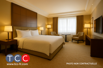 Vente - Hôtel - Toulouse (31300)