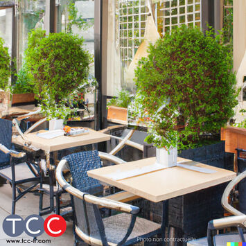 Vente - Restaurant - Hyeres (83400)-photo-2