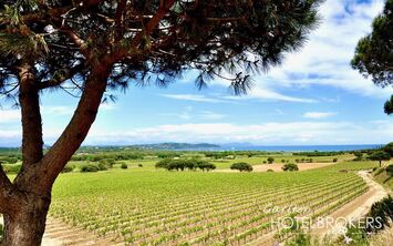 Vente de murs de boutique - Saint-Tropez (83990)