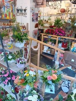 Vente - Fleuriste - Manche (50)-photo-3