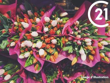 Vente - Fleuriste - Pyrénées-Orientales (66)-photo-1