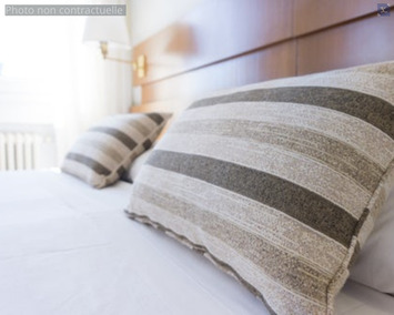 Vente - Hôtel - Néris-les-Bains (03310)