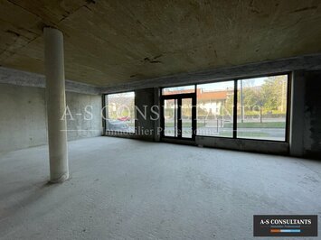 Saint-Genis-Pouilly (01630)-photo-3