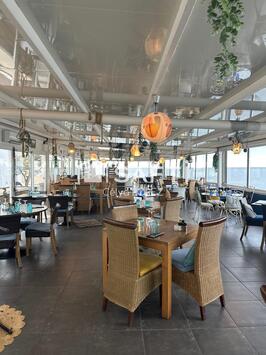 Vente - Restaurant - Restaurant du midi - Balaruc-les-Bains (34540)-photo-4