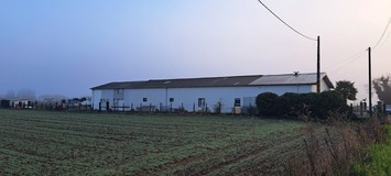 Vente Bureau - Hautes-Pyrénées (65)-photo-2