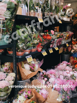 Vente - Cadeaux souvenirs - Fleuriste - Nord (59)