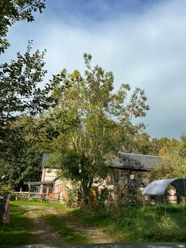 Vente - Camping - Licence IV - Chocolaterie Chocolatier - Seine-Maritime (76)-photo-3