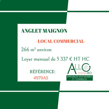 Location Local Commercial - Anglet (64600)-photo-2