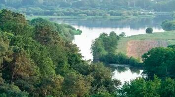 Vente - Bar - FDJ - Licence IV - Loto - Ille-et-Vilaine (35)