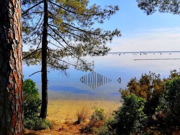 Vente - Boucherie - Charcuterie - Gironde (33)-photo-4