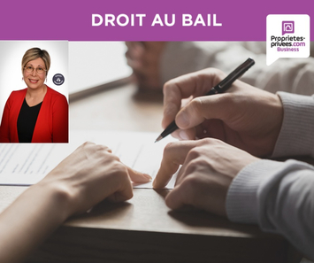 Location Local Commercial - Ille-et-Vilaine (35)-photo-2