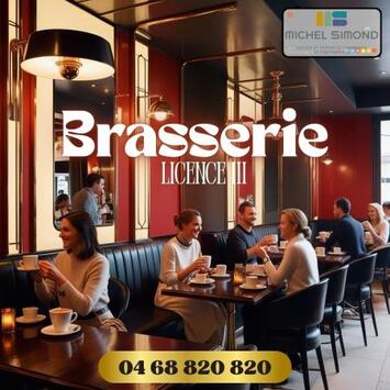 Vente - Bar - Brasserie - Licence III - Pyrénées-Orientales (66)