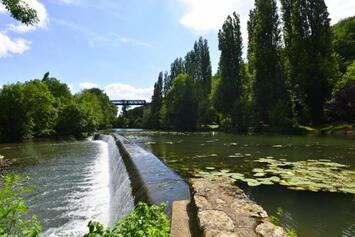 Location Local Commercial - Vienne (86)-photo-2