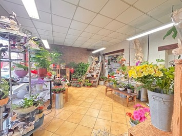 Vente - Fleuriste - Nord (59)
