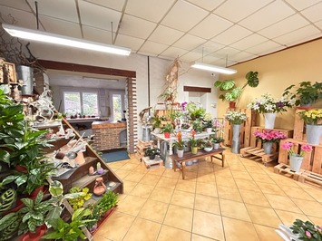 Vente - Fleuriste - Nord (59)-photo-3