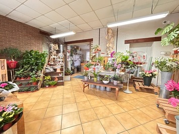 Vente - Fleuriste - Nord (59)-photo-4
